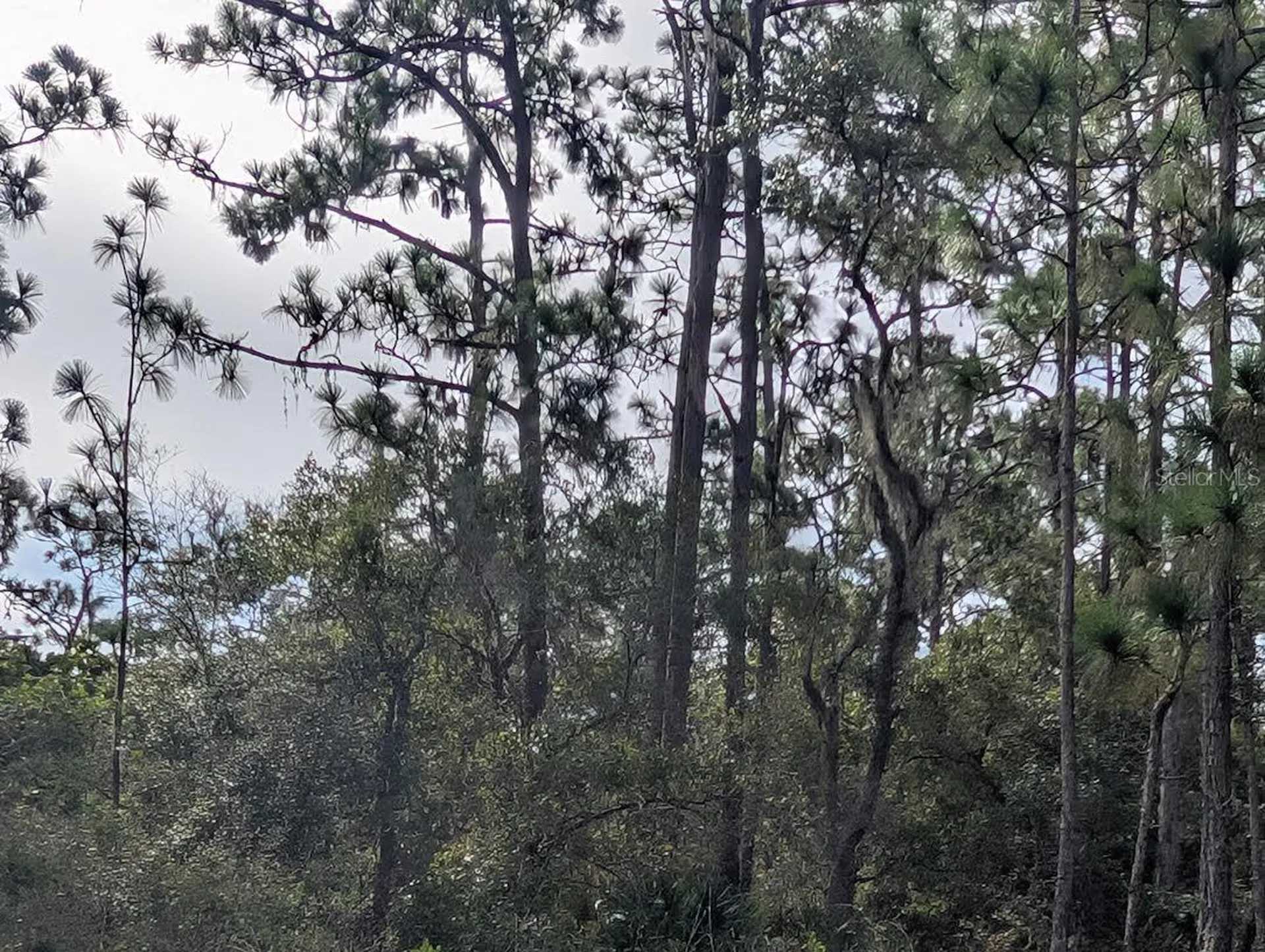 523 Azalea Drive Indian Lake Estates FL 33855