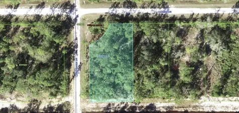 523 Azalea Drive Indian Lake Estates FL 33855