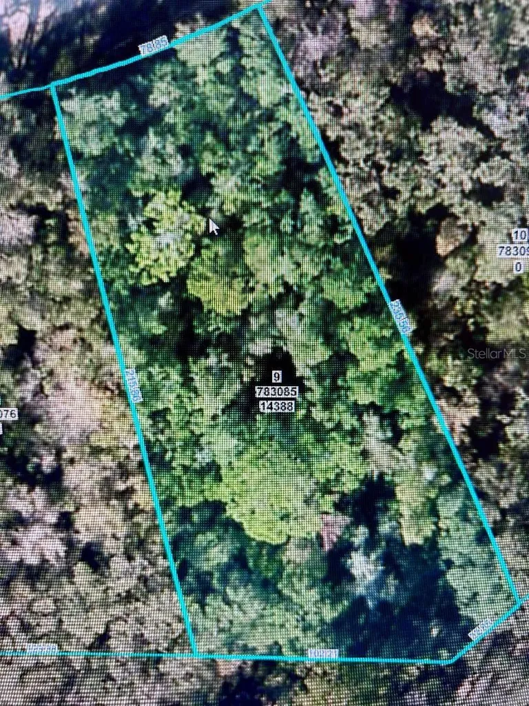 14388 Chimney Swift Road Weeki Wachee FL 34614