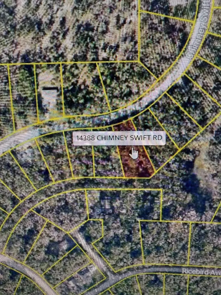 14388 Chimney Swift Road Weeki Wachee FL 34614