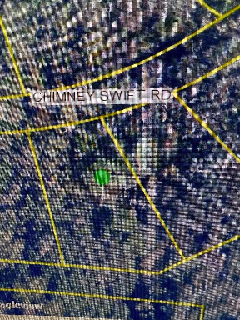 14388 Chimney Swift Road Weeki Wachee FL 34614