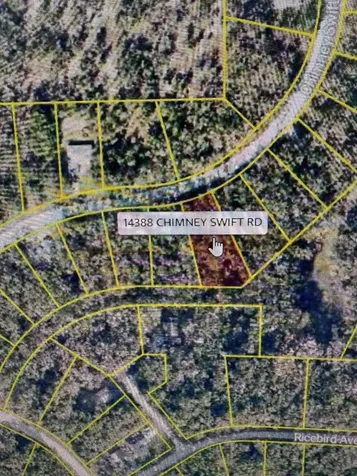 14388 Chimney Swift Road Weeki Wachee FL 34614