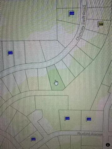 14388 Chimney Swift Road Weeki Wachee FL 34614