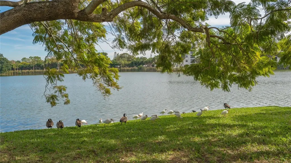 4130 Heron Way Bradenton FL 34205