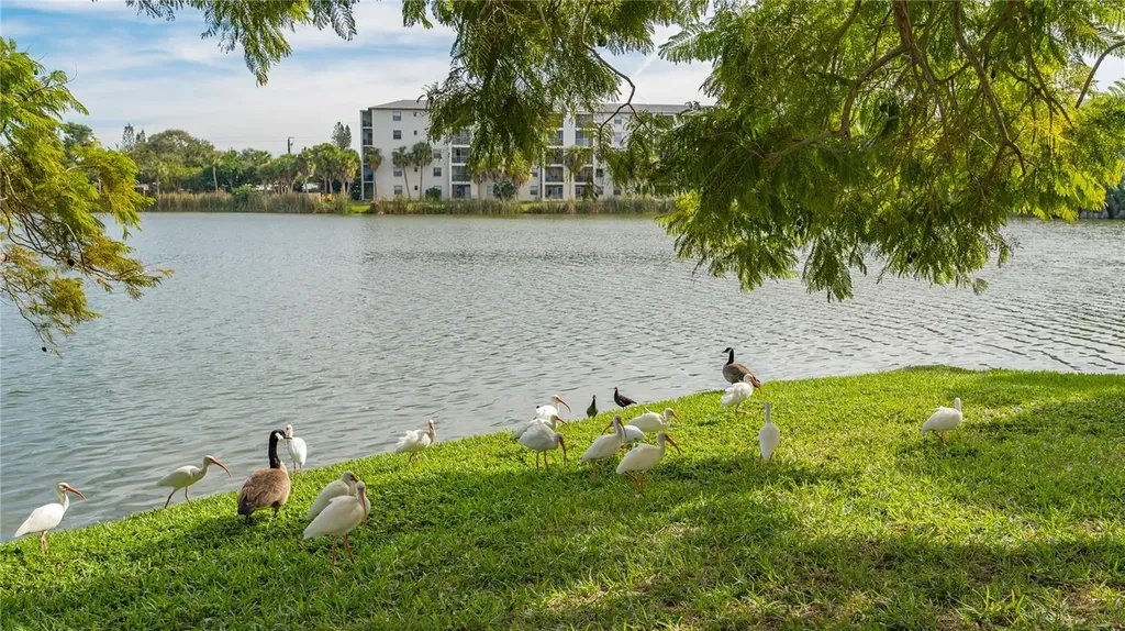 4130 Heron Way Bradenton FL 34205