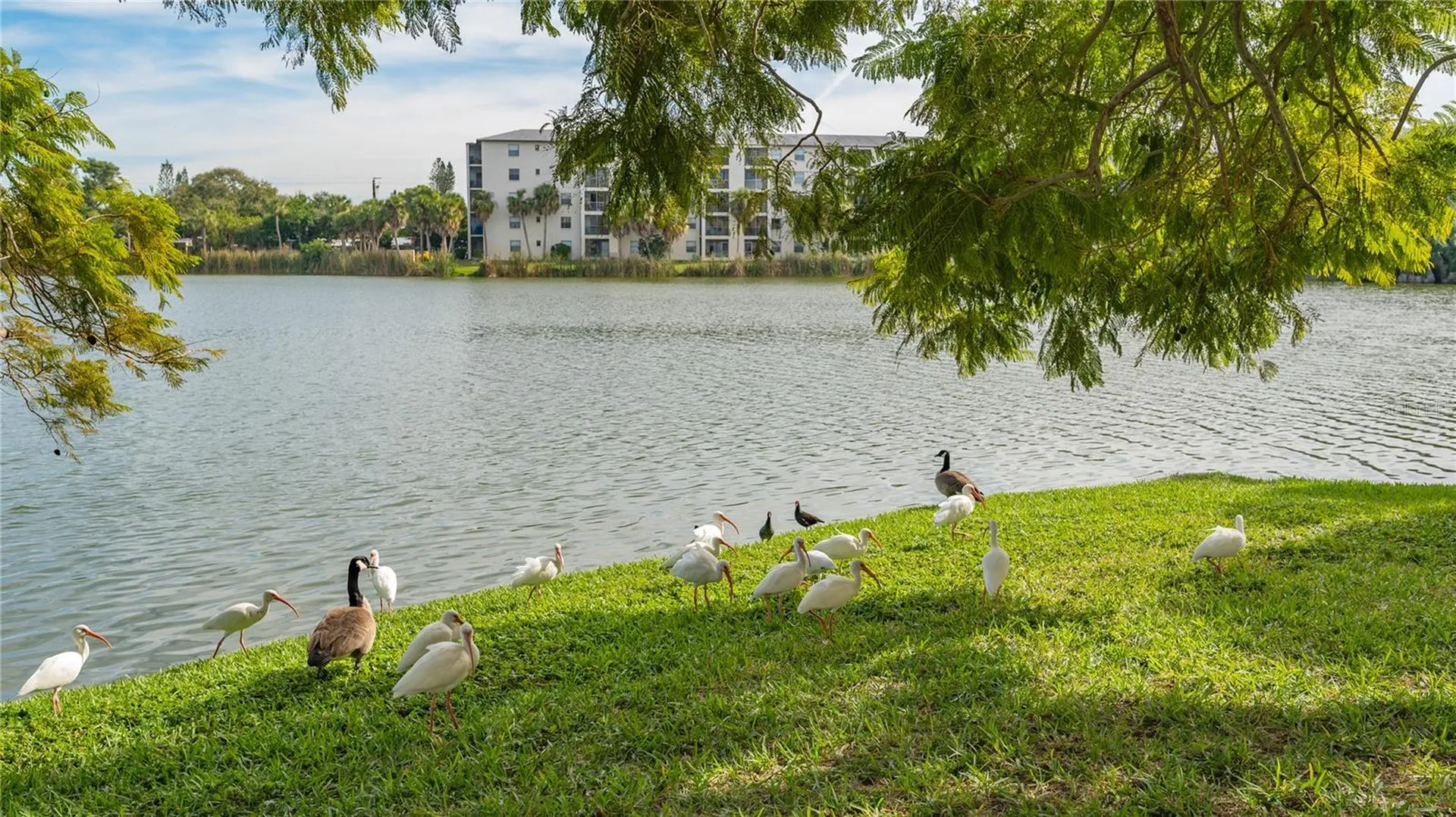 4130 Heron Way Bradenton FL 34205