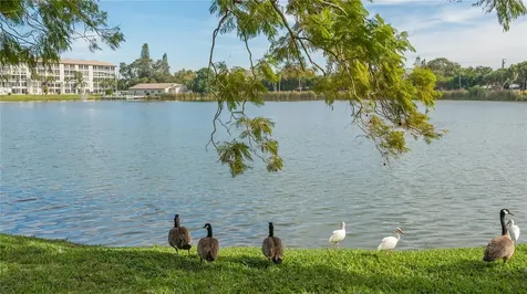4130 Heron Way Bradenton FL 34205