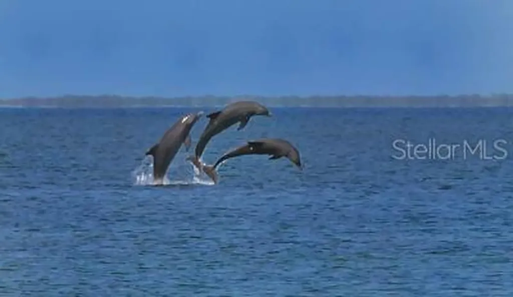 8779 Midnight Pass Road Sarasota FL 34242