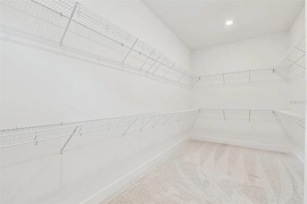 31486 Hayman Loop Wesley Chapel FL 33545