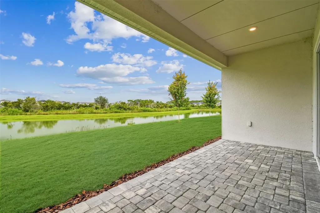 31486 Hayman Loop Wesley Chapel FL 33545