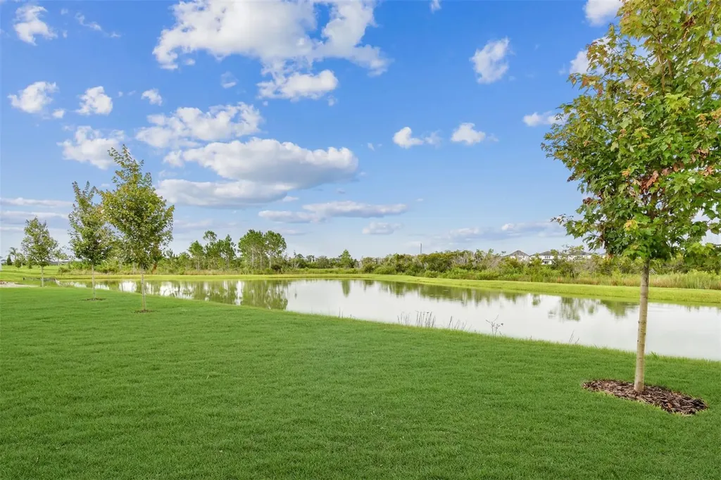 31486 Hayman Loop Wesley Chapel FL 33545