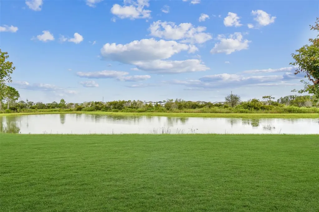 31486 Hayman Loop Wesley Chapel FL 33545