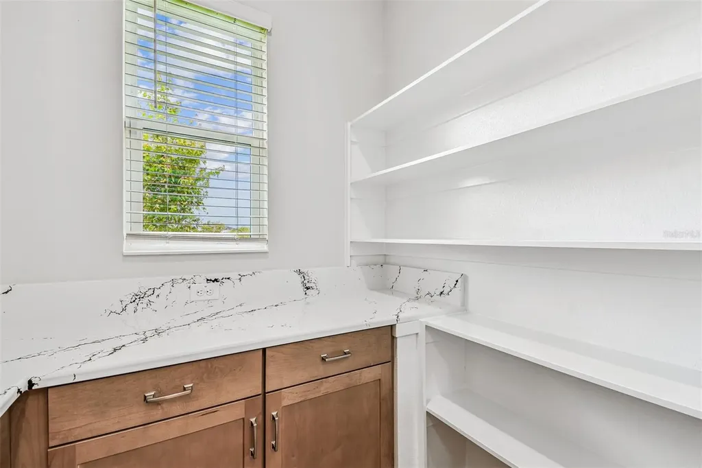31486 Hayman Loop Wesley Chapel FL 33545