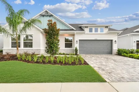 31486 Hayman Loop Wesley Chapel FL 33545