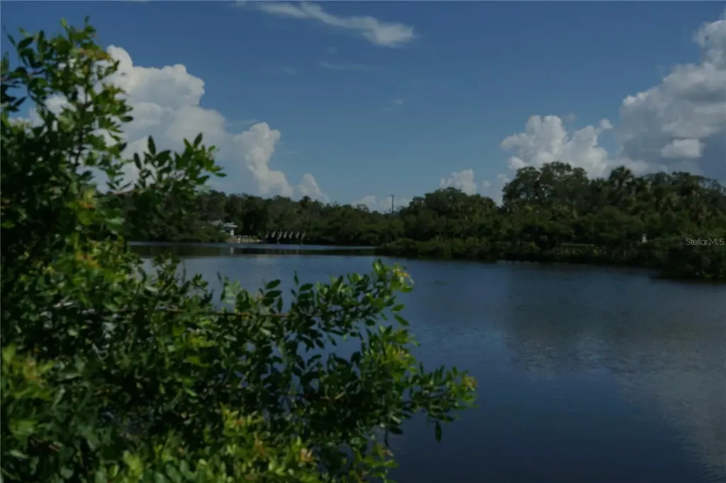 Tiberius Trail New Port Richey FL 34652