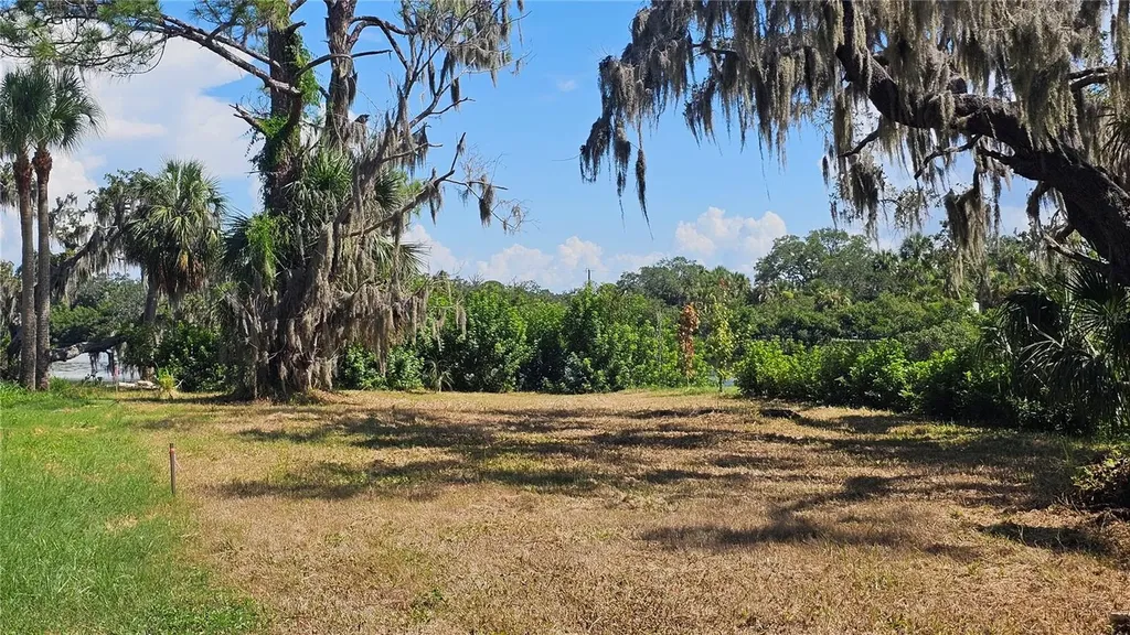 Tiberius Trail New Port Richey FL 34652