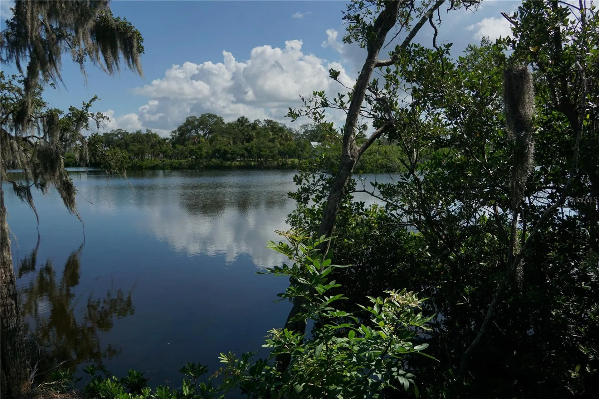 Tiberius Trail New Port Richey FL 34652
