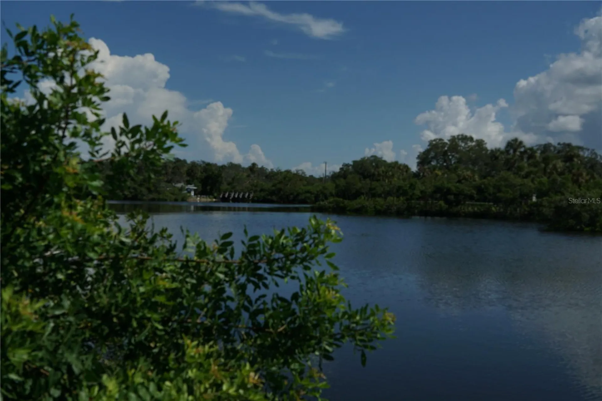Tiberius Trail New Port Richey FL 34652