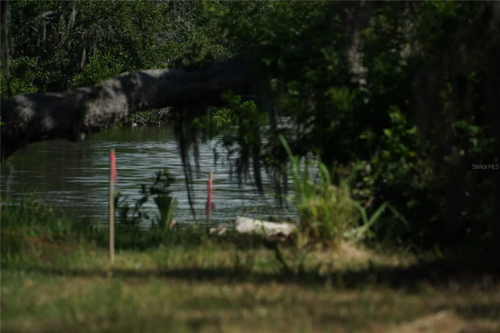 Tiberius Trail New Port Richey FL 34652