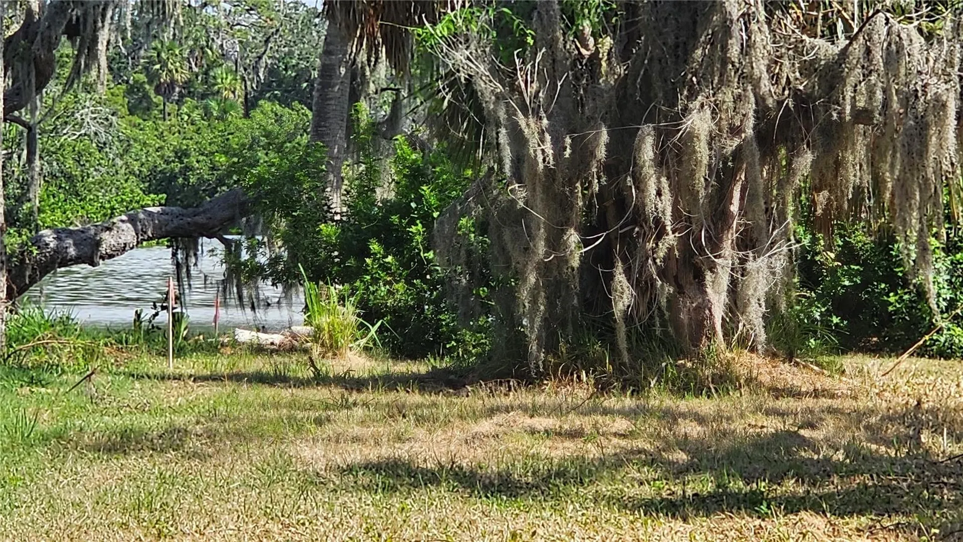 Tiberius Trail New Port Richey FL 34652