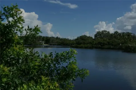 Tiberius Trail New Port Richey FL 34652