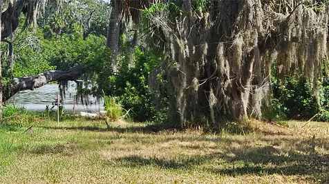 Tiberius Trail New Port Richey FL 34652