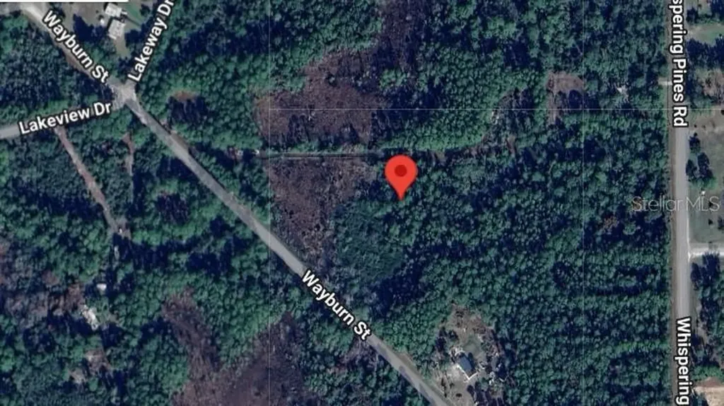 116 Wayburn Street Georgetown FL 32139