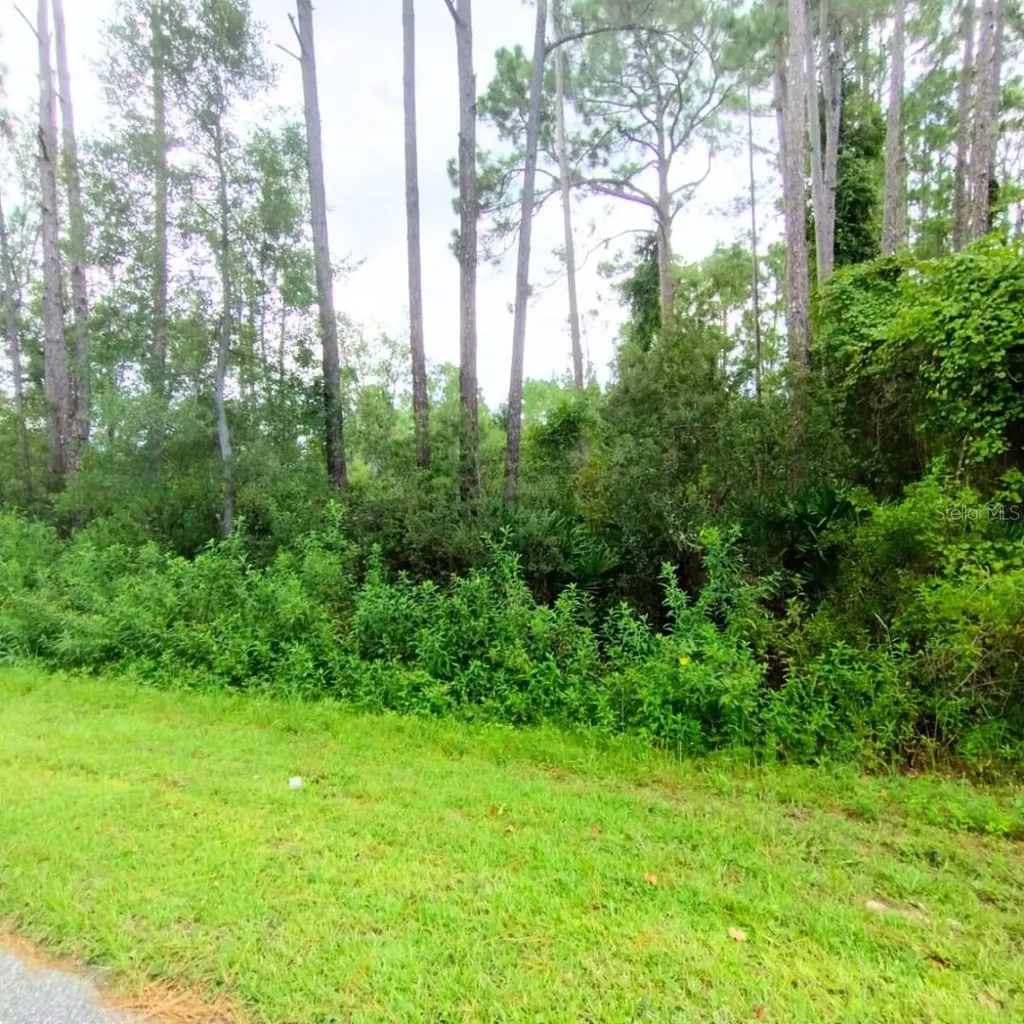 116 Wayburn Street Georgetown FL 32139