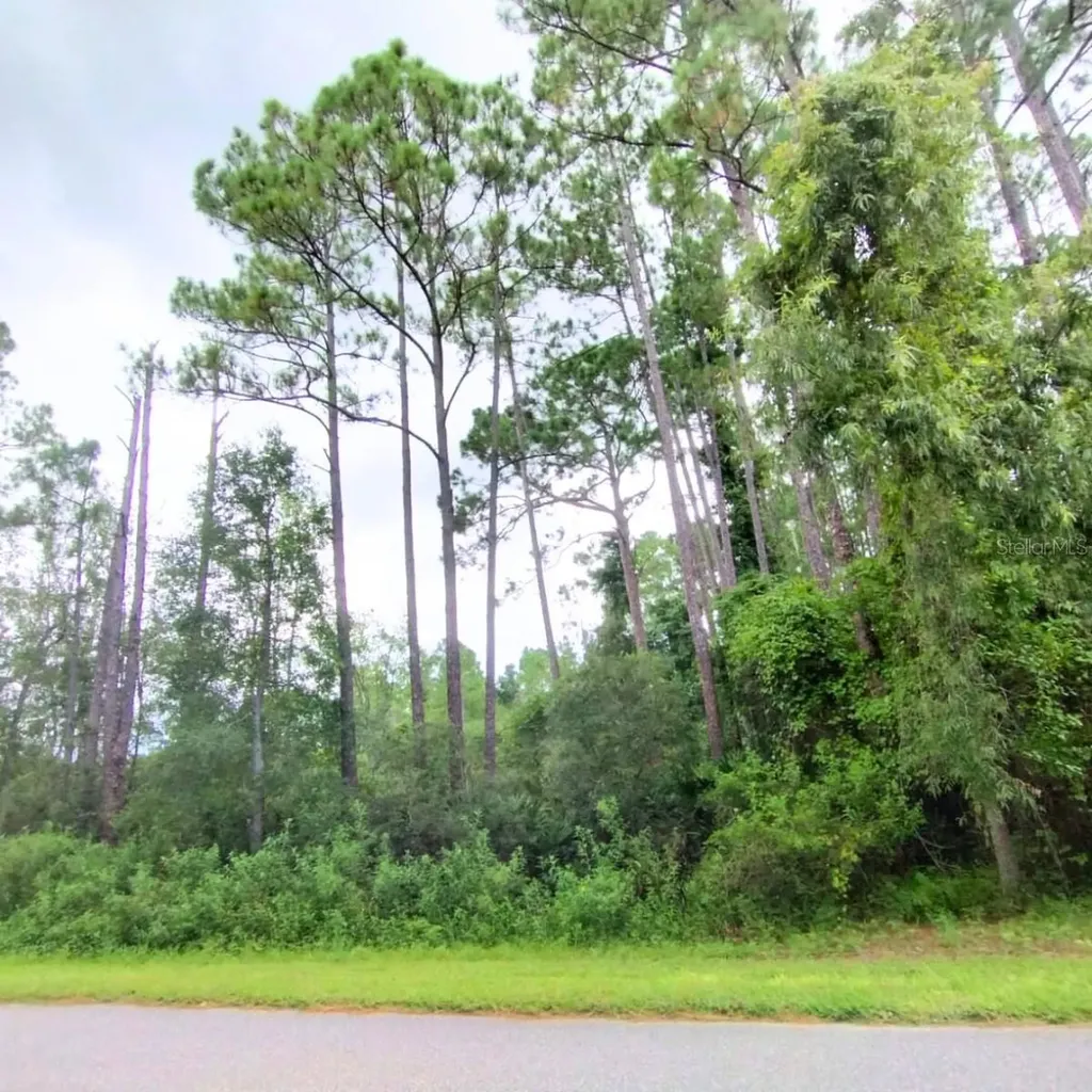 116 Wayburn Street Georgetown FL 32139