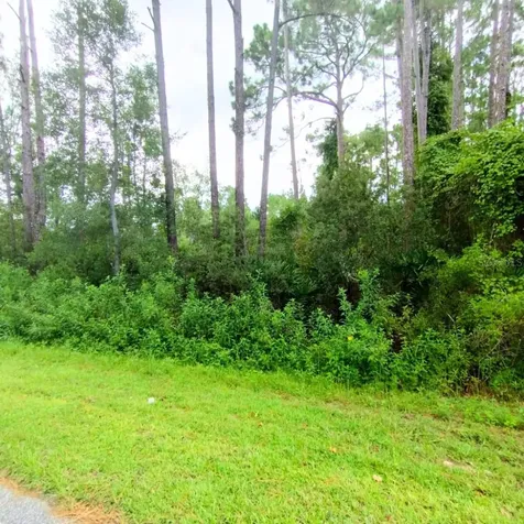 116 Wayburn Street Georgetown FL 32139