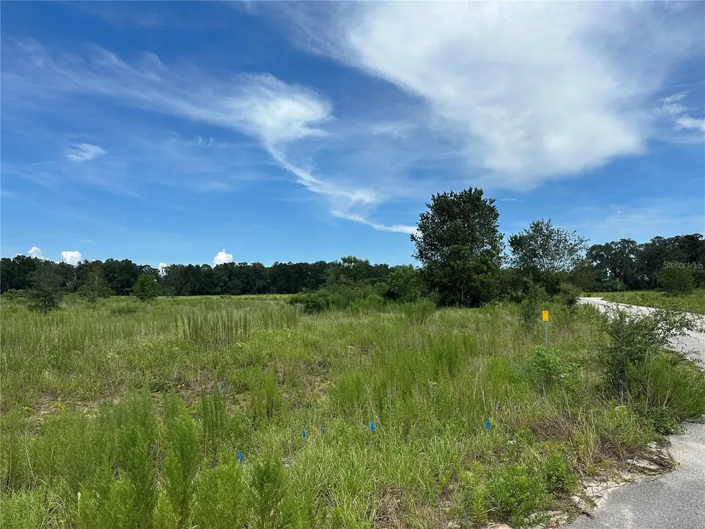 7795 SE 63rd Court Ocala FL 34472