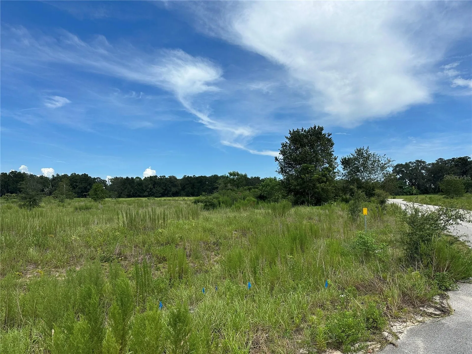 7795 SE 63rd Court Ocala FL 34472