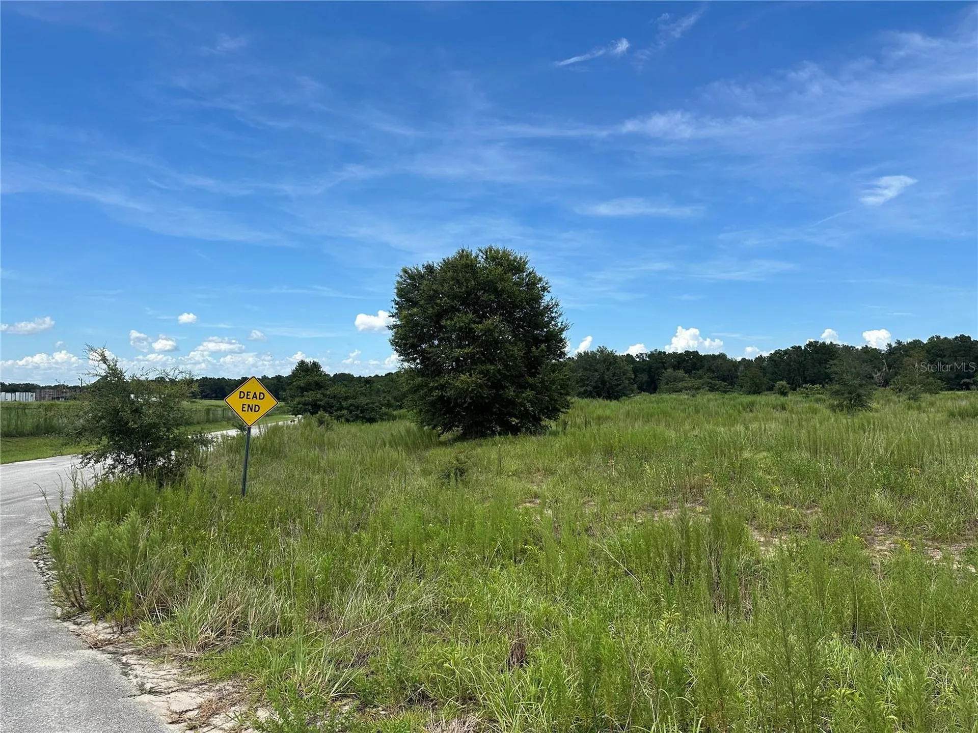 7795 SE 63rd Court Ocala FL 34472