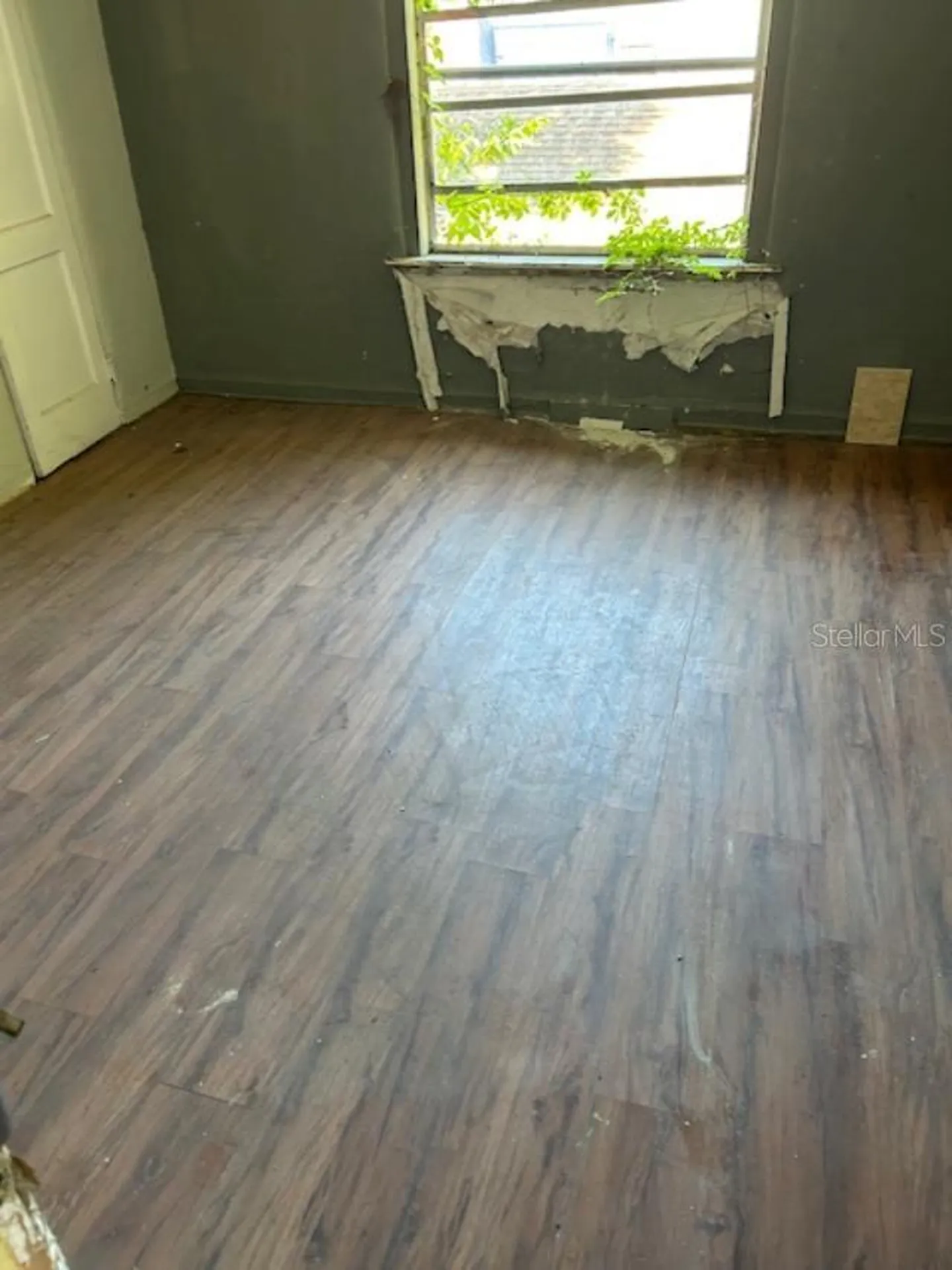 330 Madison Avenue Daytona Beach FL 32114