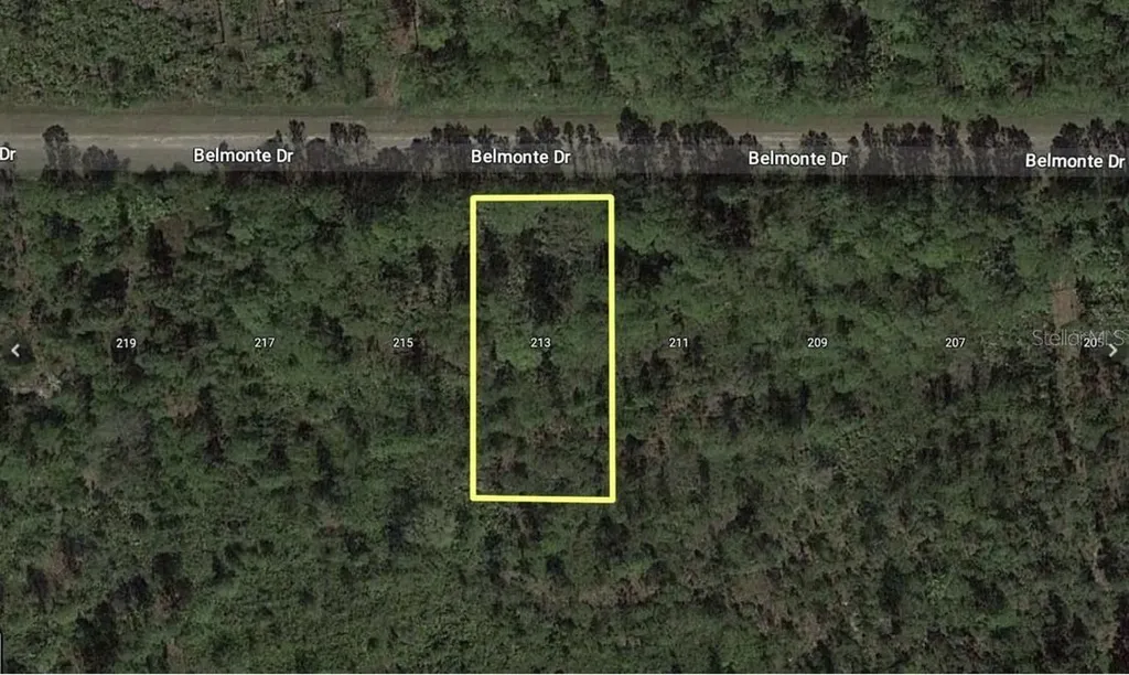 213 Belmonte Drive Indian Lake Estates FL 33855