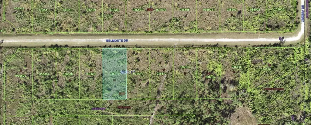 213 Belmonte Drive Indian Lake Estates FL 33855