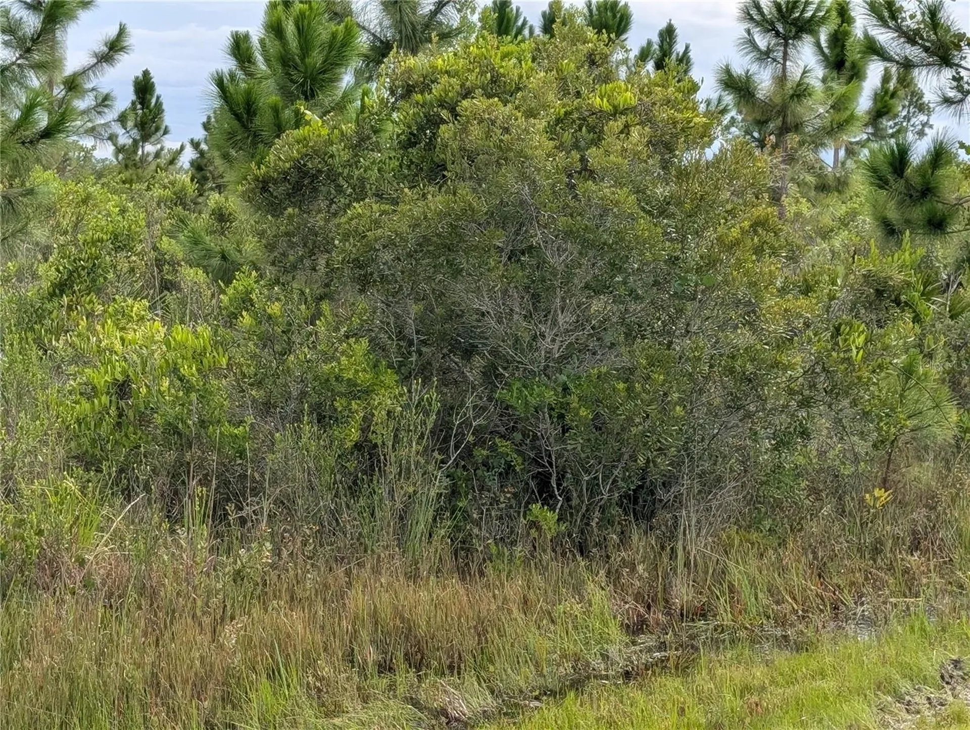 213 Belmonte Drive Indian Lake Estates FL 33855