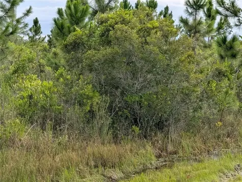 213 Belmonte Drive Indian Lake Estates FL 33855
