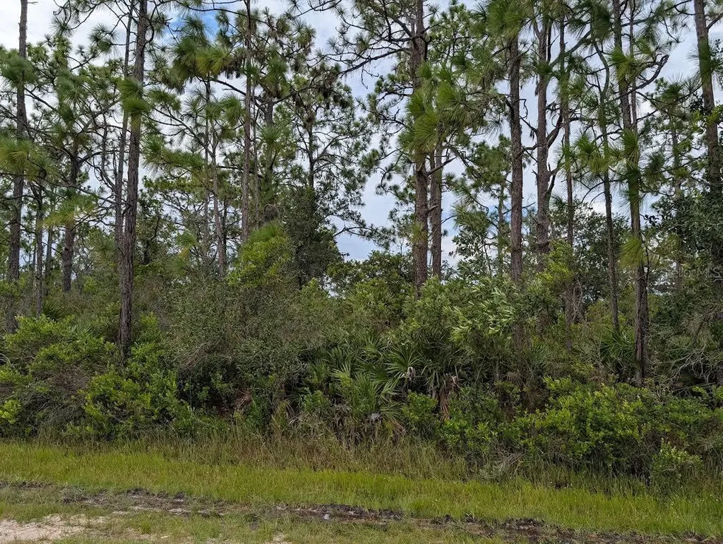 408 Azalea Drive Indian Lake Estates FL 33855