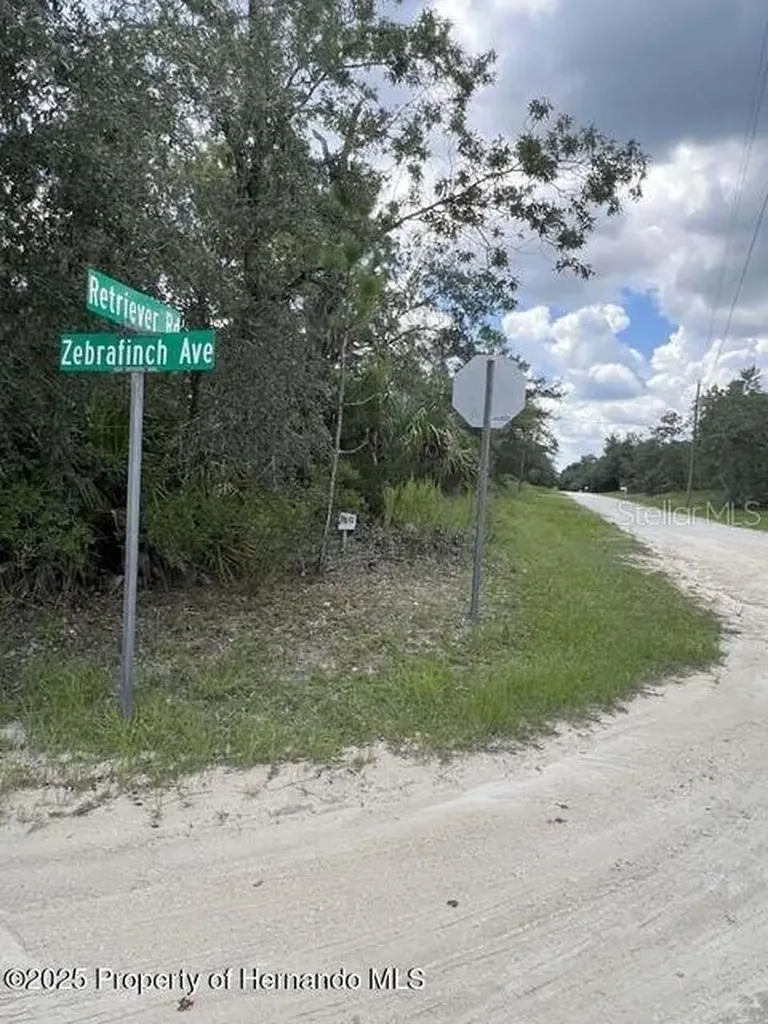 0 Zebrafinch Avenue Weeki Wachee FL 34614