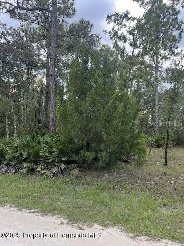0 Zebrafinch Avenue Weeki Wachee FL 34614