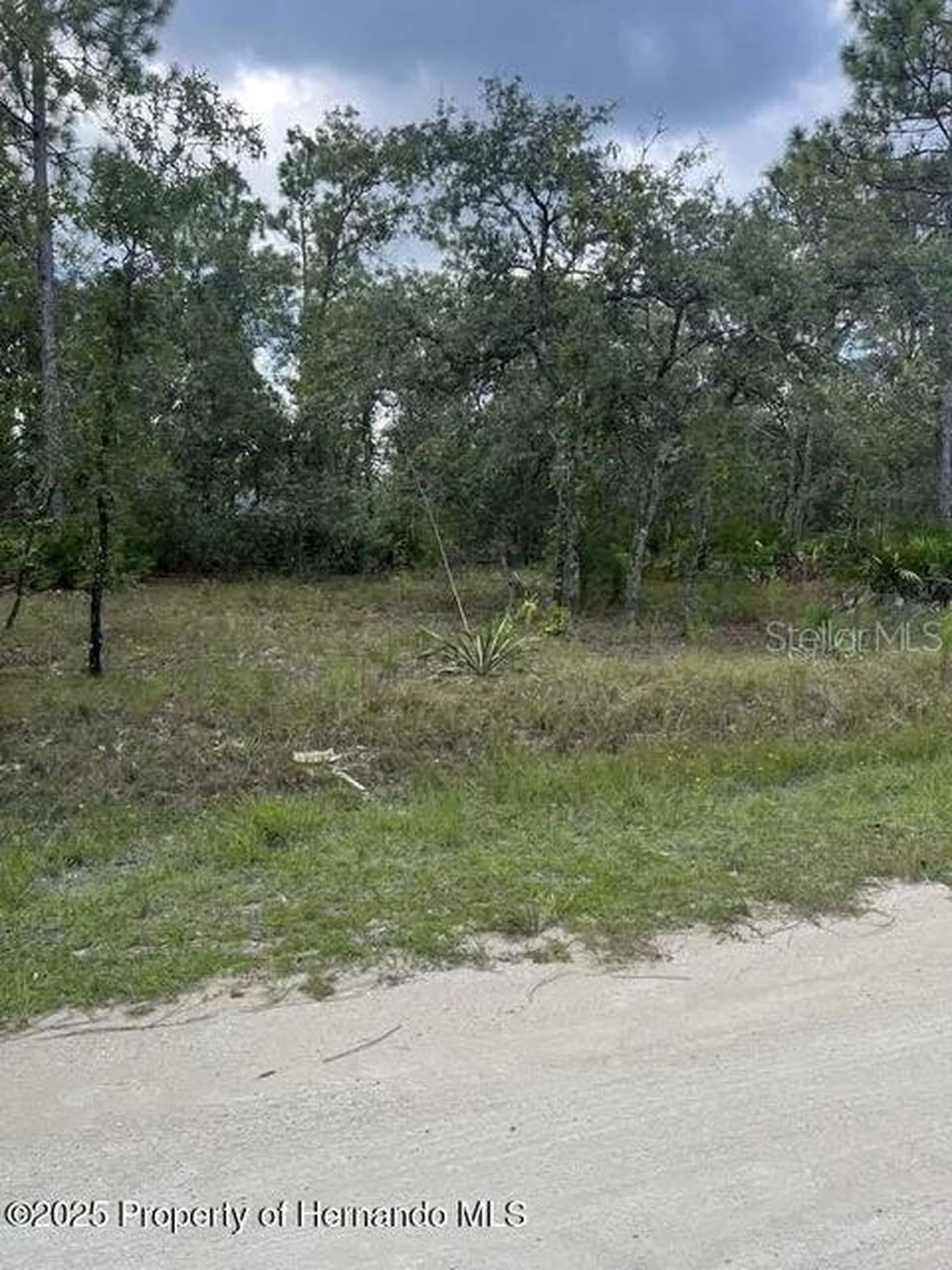 0 Zebrafinch Avenue Weeki Wachee FL 34614