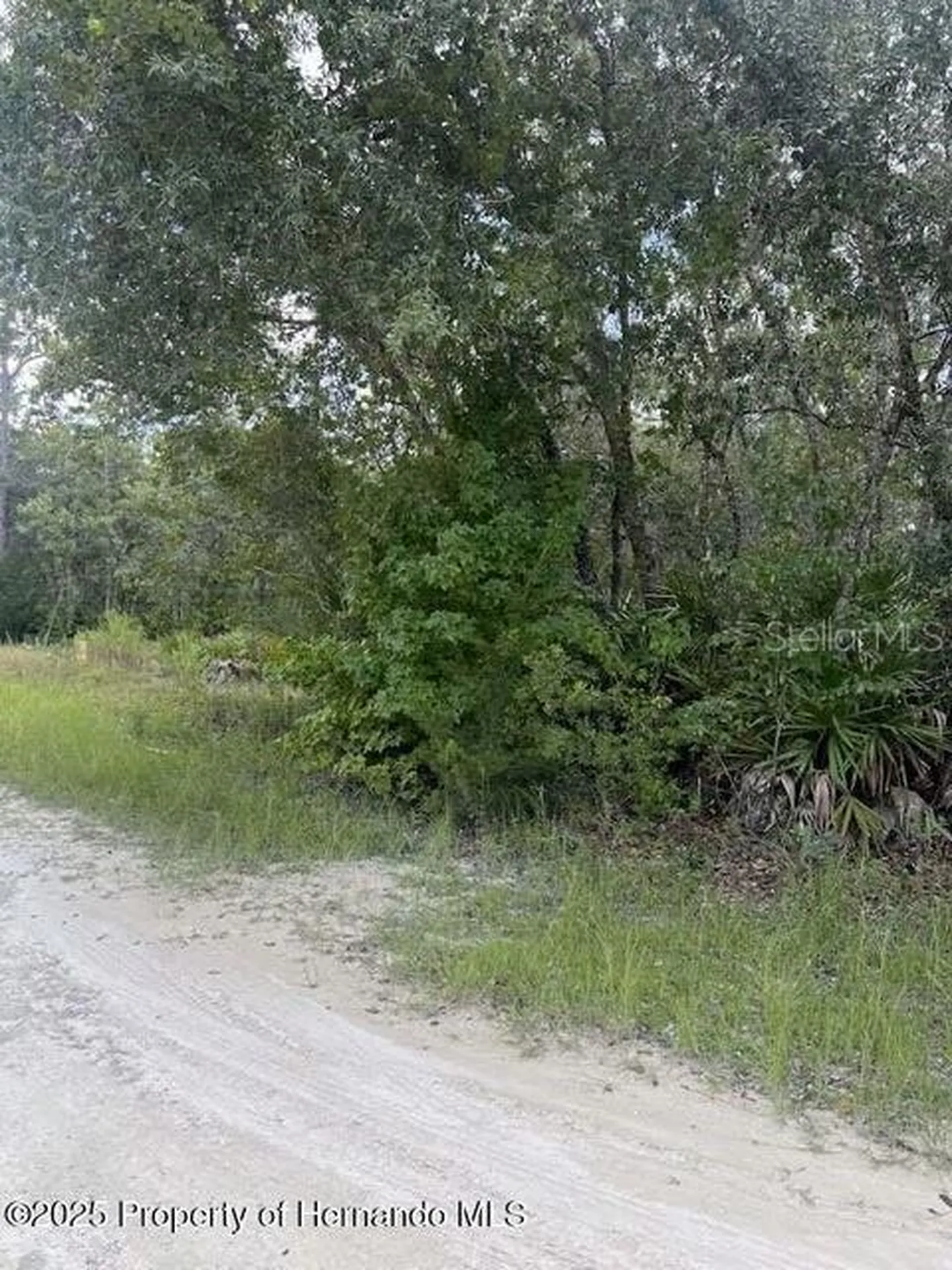 0 Zebrafinch Avenue Weeki Wachee FL 34614
