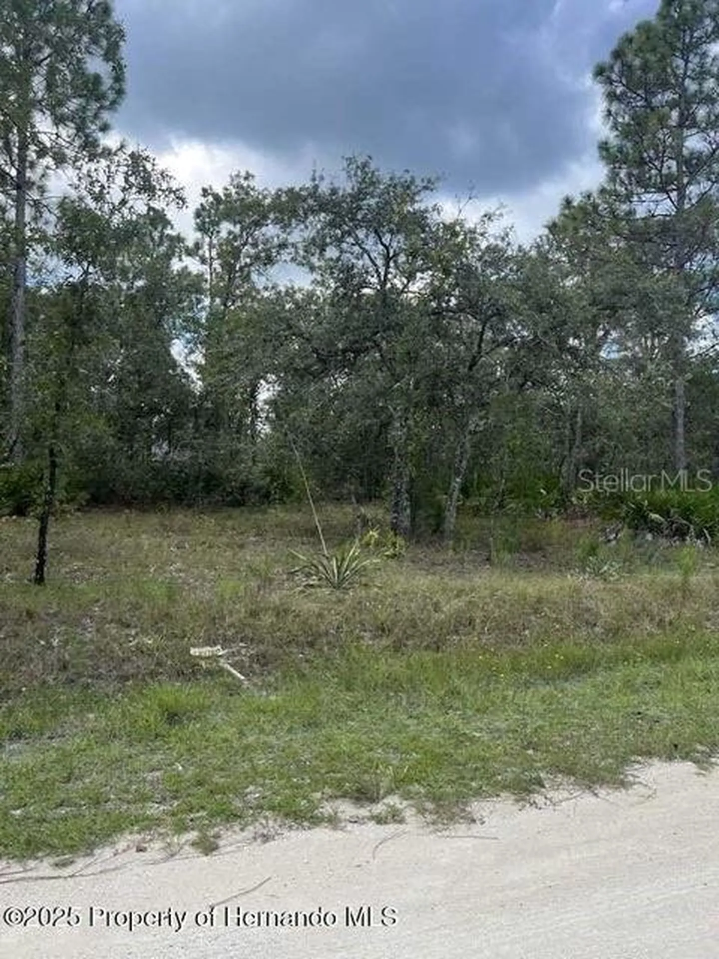 0 Zebrafinch Avenue Weeki Wachee FL 34614