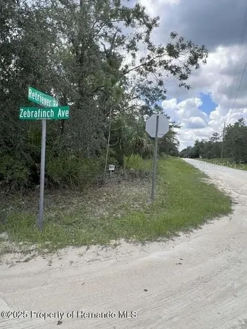 0 Zebrafinch Avenue Weeki Wachee FL 34614
