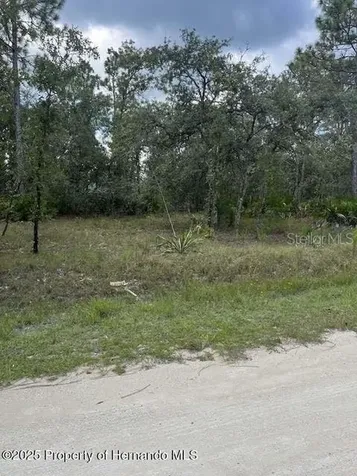 0 Zebrafinch Avenue Weeki Wachee FL 34614