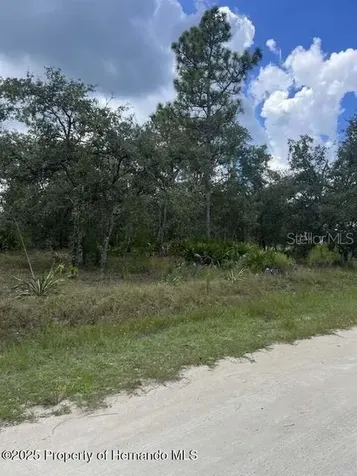 0 Zebrafinch Avenue Weeki Wachee FL 34614
