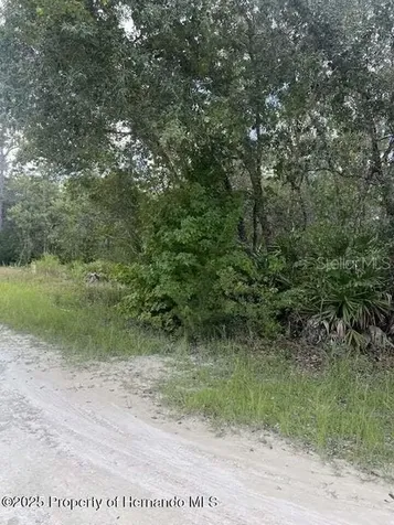0 Zebrafinch Avenue Weeki Wachee FL 34614