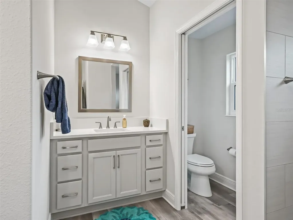 4406 Creighton Loop The Villages FL 32163
