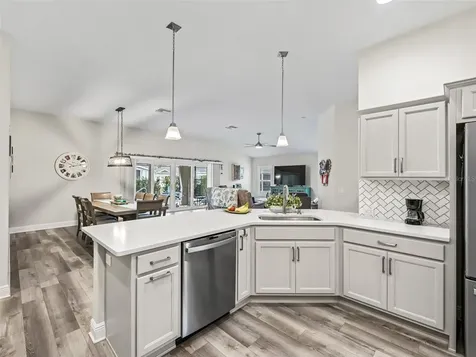 4406 Creighton Loop The Villages FL 32163